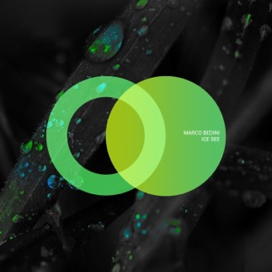Ice See - Single
