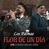 Flor de un Día - Single