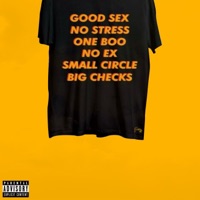Good Sex No Stress One Boo No x Small Circle Big Checks - Single - Qwiss