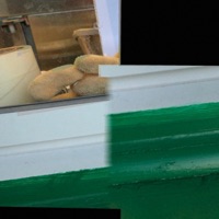 Yes, It's Constant - Single - cropscropscrops