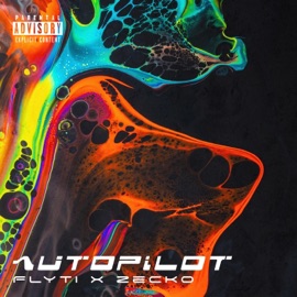 Autopilot (feat. Zecko) Flyti