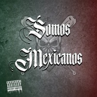 Somos Mexicanos (feat. Daryk el bandido) - Single - Mimo Stc