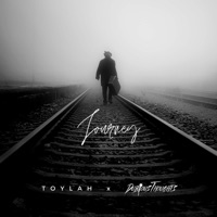 Journey (feat. Toylah) - Single - Dubious Thoughts