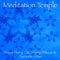 Bodhi Tree - Meditation Space lyrics