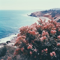 What's Unspoken - Single - Utah, Red Licorice & Young Collective