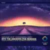 Stream & download Into the Unknown (Alex Wright Remix)