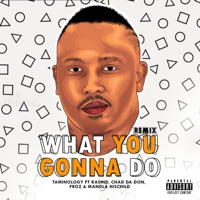 What You Gonna Do Remix (feat. Chad Da Don, Rashid, Froz & Mandla HisChild) [Part 1] - Single - Taminology