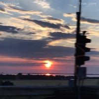 True love - Single - Lonelium