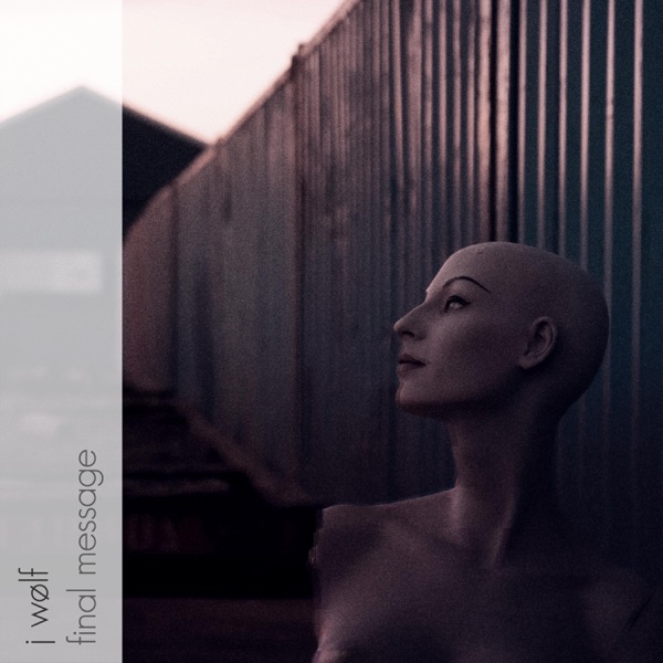 Final Message - Single