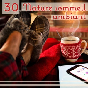 30 Nature sommeil ambiant: Long chansons de sommeil, Apaisez votre esprit, Musique douce pour la nuit, La meilleure façon de se détendre