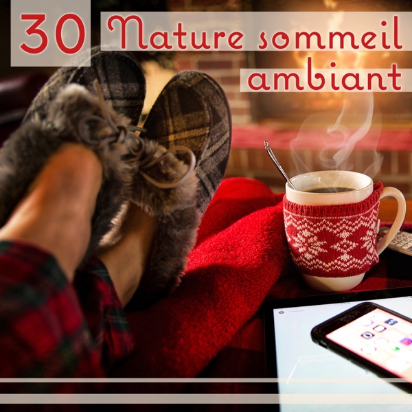 30 Nature sommeil ambiant: Long chansons de sommeil, Apaisez votre esprit, Musique douce pour la nuit, La meilleure façon de se détendre