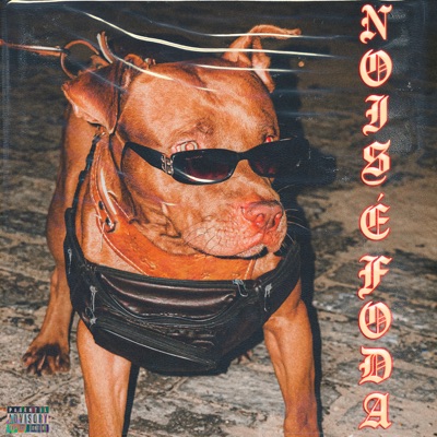 Nóis É Foda - Single