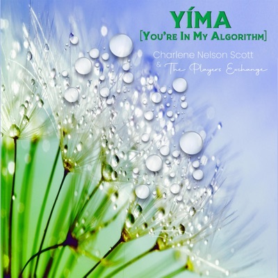 YÍMA (You're In My Algorithm) [feat. The Players Exchange] - Single