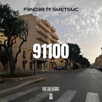 91100 (feat. SmetsMC) - Single