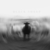 BLACK SHEEP (feat. KNOMADD) - Single