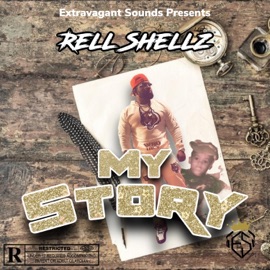 Check the Score (feat. Stophee & DB33) Rell Shellz