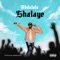 Shalaye - Abdulala lyrics