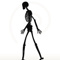 Dead Man Walking (feat. YRN J Da PacMan) - Single - Lil Zappy