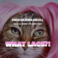What Lace (feat. DJ Suede the Remix God) - Single - IndesKribeaBULL