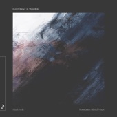 Black Hole (Konstantin Sibold Mixes) - EP artwork