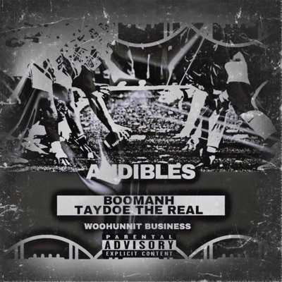 Audibles Freestyle (feat. Taydoe the rEAl) - Single