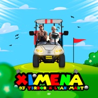 Ximena (feat. DJ T3rror) - Single - Lyan Mart