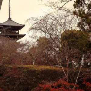 Kyoto