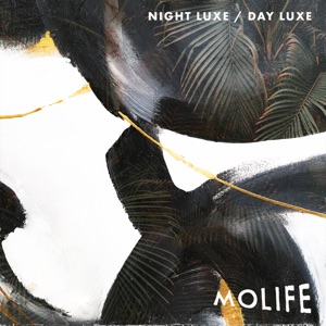 Night Luxe / Day Luxe - Single