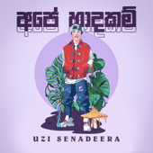 Ape Hadhakam song art