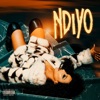 Ndiyo (feat. Sino Msolo & Tony Duardo) - Single