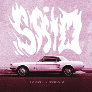 Said What I Needed - Single