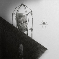 Arachnid - Aloeight