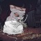 Mandragora - SRWSN lyrics