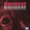 Bloodhound - Stuu lyrics