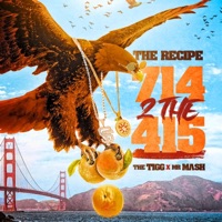 714 2 The 415 (feat. Mr. Mash & the Tigg) [Radio Edit] - Single - The Recipe