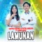 Lamunan (feat. Ageng Music) - Cantika Davinca & Putra Angkasa lyrics