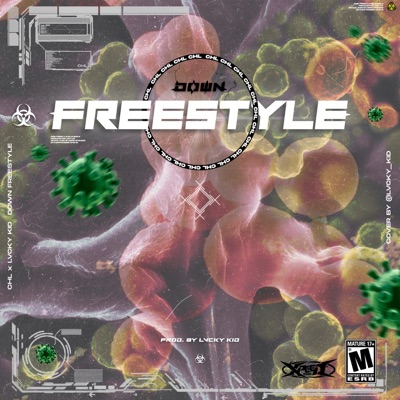 Down Freestyle (feat. Lvcky Kid) - Single