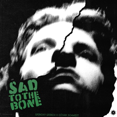 Sad To The Bone - Single
