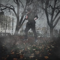 The Declaration - Matsuda