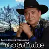 Teo Galindez - Y Me Vieron Cantar