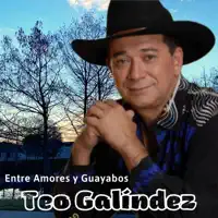Y Me Vieron Cantar — Teo Galindez