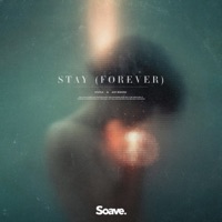 Stay (Forever) - Single - MVCA & Avi Snow
