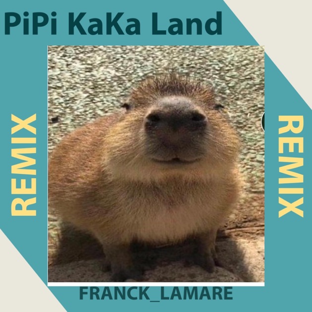 PiPi KaKa Land (REMIX) - Morceau par FRANCK_LAMARE - Apple Music