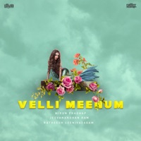 Velli Meenum - Single - Ratheesh Seenivasagam, Jeevanandhan Ram & Mirun Pradhap