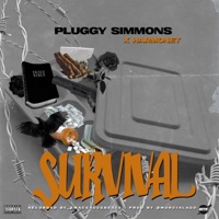 Survival (feat. Harmonet) - Single - Pluggy Simmons