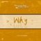 Why (feat. Ruby Boy) - Samzee Que lyrics
