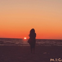 The Meridian - Single - M.I:C