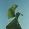 Will You Follow Me Home?