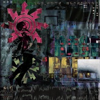 Rage vs. Pain - Single - Pashu