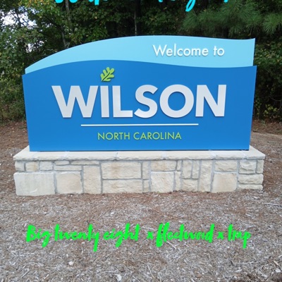 Wide Awake Girl (feat. Fleetwood & Lil trap) - Single